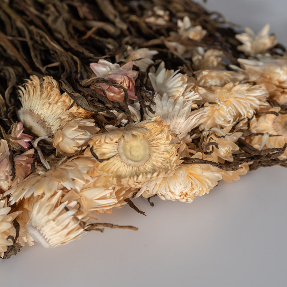 Getrocknete Strohblume in natur 100g, 50cm