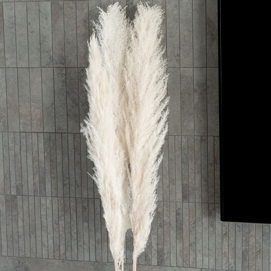 Getrocknetes Pampasgras Extra Fluffy in weiß 120-140cm, Bund 5 Stiele / Stück 1 Stiel - mahina