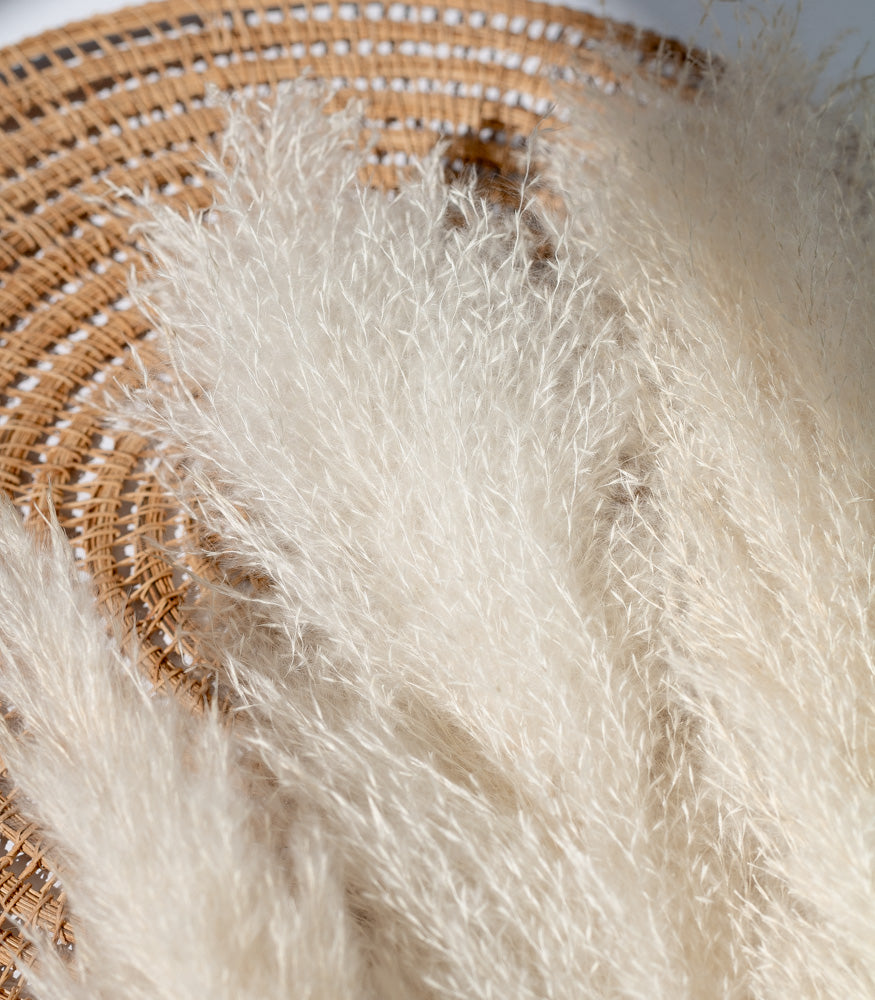 Getrocknetes Pampasgras Extra Fluffy in weiß 120-140cm, Bund 5 Stiele / Stück 1 Stiel - MAHINA