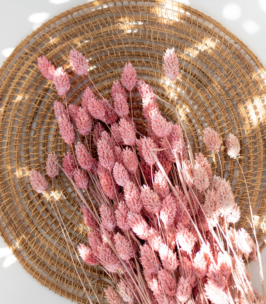 Phalaris in frosted Pink, Bund 200g / 10 Stück 5-10g - MAHINA