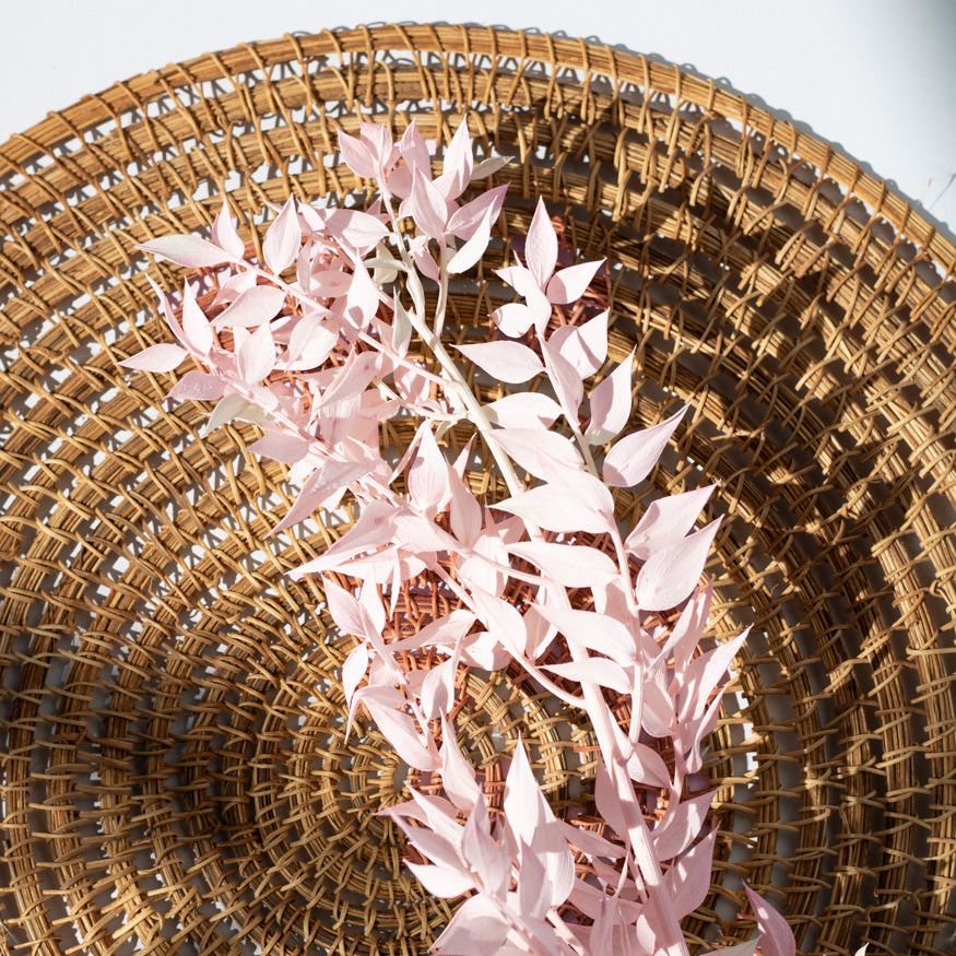 Getrockneter Ruscus in light pink, Bund 5 Stiele / Stück 1 Stiel - mahina