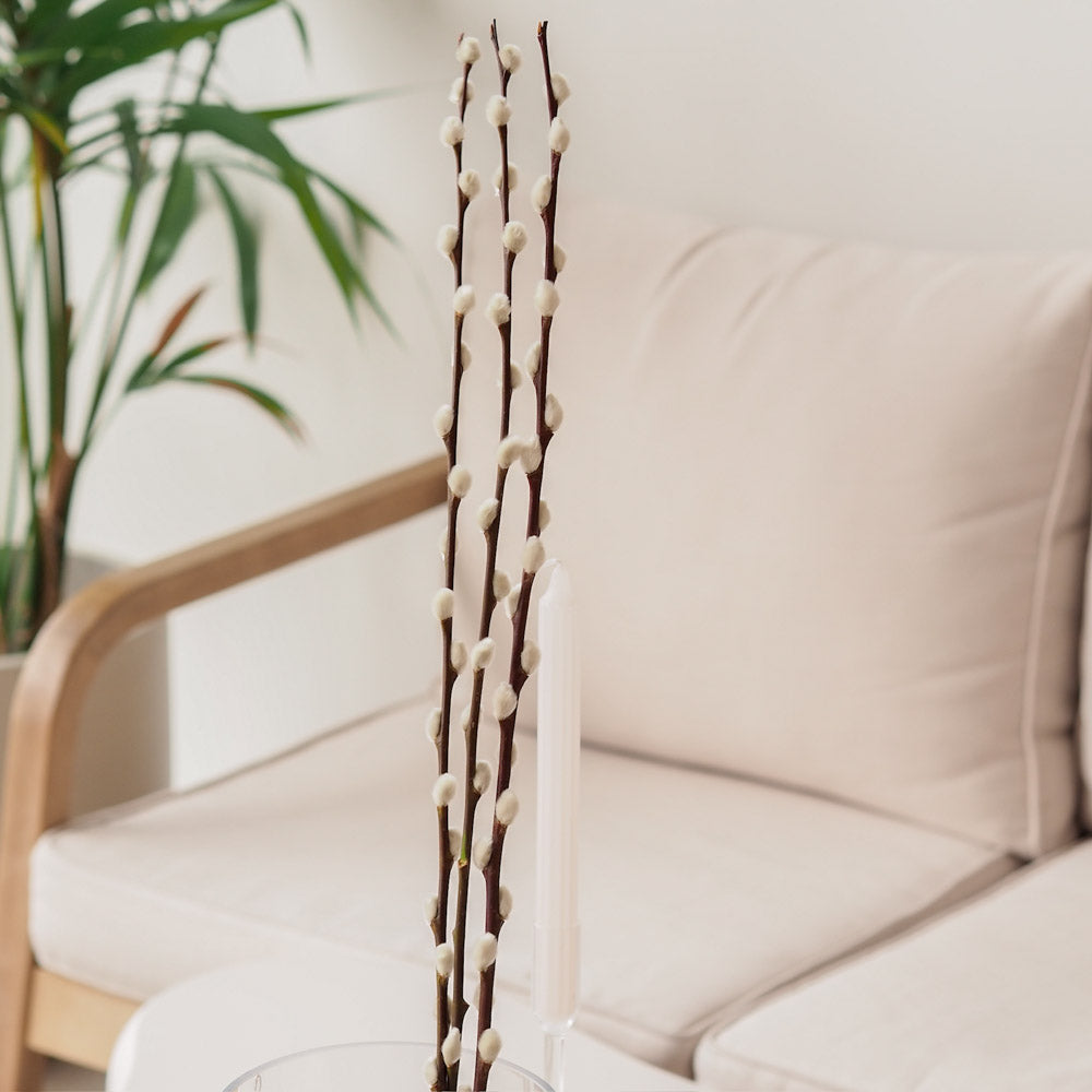 Weidenkätzchen/Salix Bund, 120cm in natur - mahina