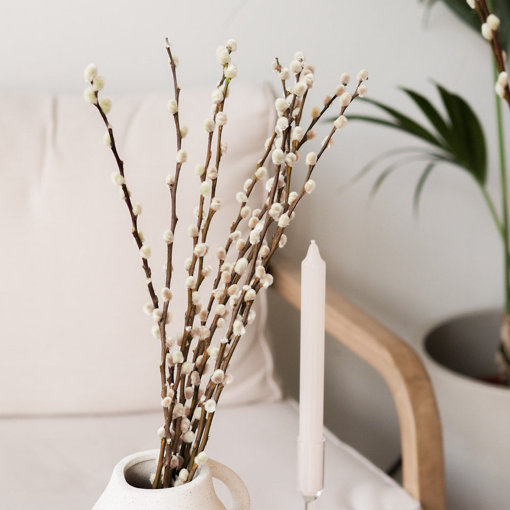Weidenkätzchen/Salix Bund, 60cm in natur - mahina