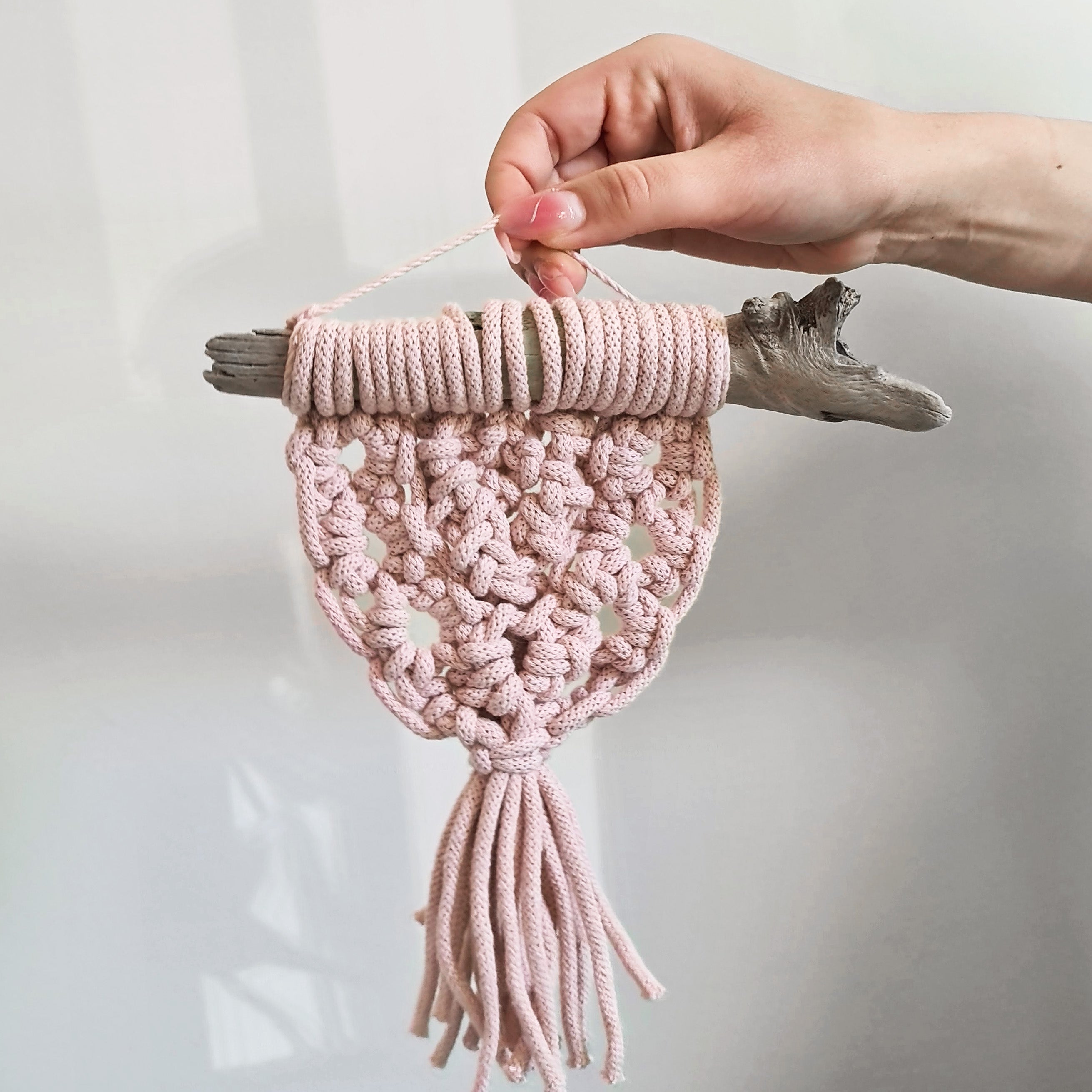 Bobbiny Makramee Garn 9mm 3ply 30m - Garne > Baumwollgarne > Bobbiny > 3ply > 9mm von mahina