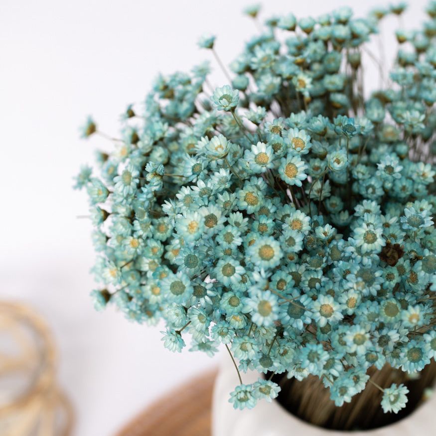 Getrocknete Glixia in blau, Bund 80g - Trockenblumen -> Sorten von mahina