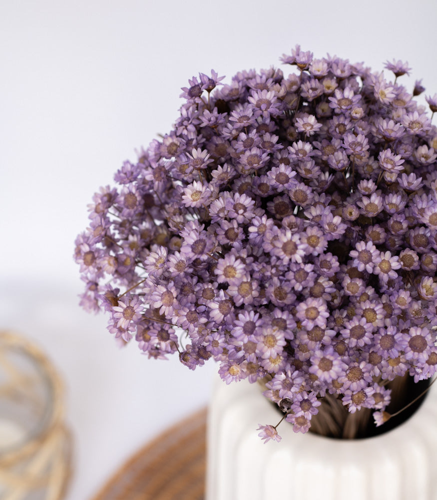 Getrocknete Glixia in lila, Bund 80g - Trockenblumen -> Sorten von mahina