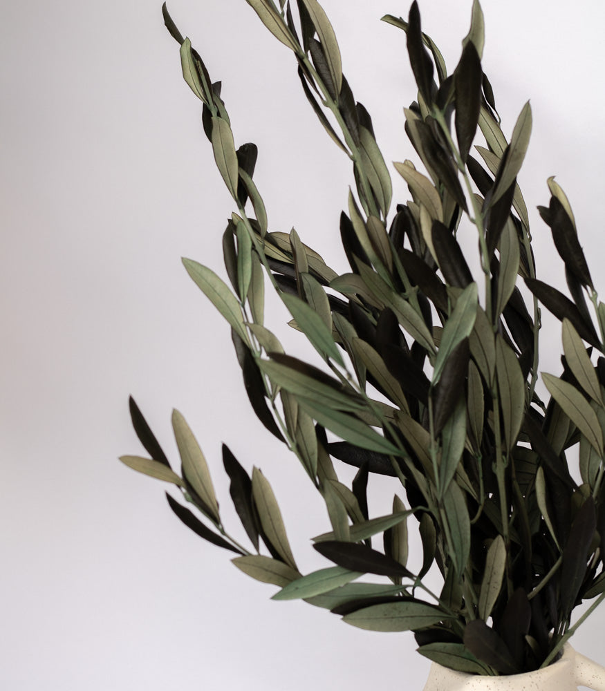 Getrocknete Olivenzweige im Bund, 150g - Trockenblumen -> Sorten von mahina