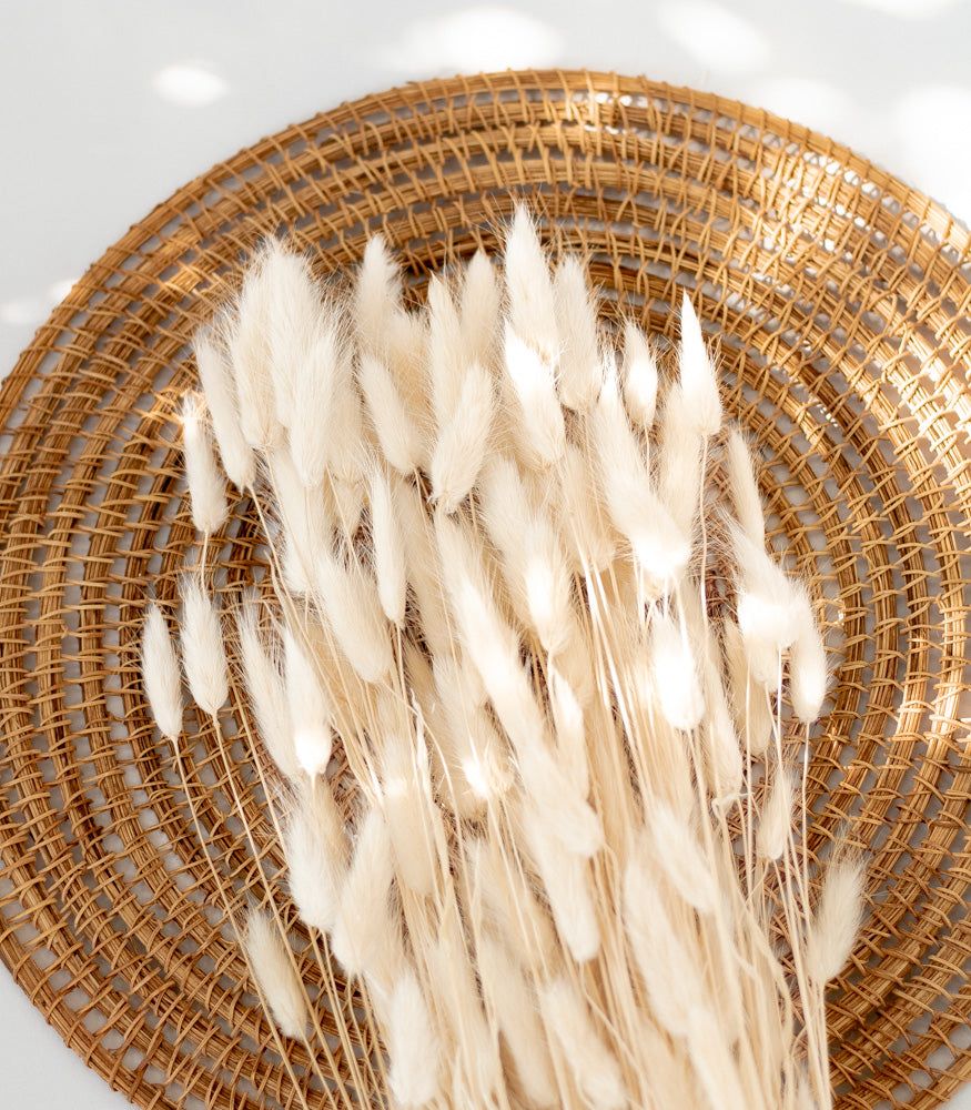 Getrockneter Lagurus in weiß, Bund 100g - Trockenblumen -> Sorten von mahina