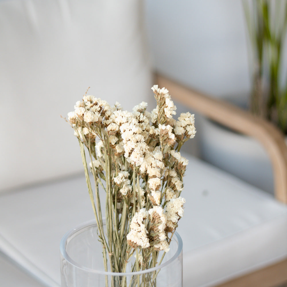 Getrockneter Strandflieder Statice Sinuata in weiß, Bund 40cm - Trockenblumen -> Sorten von mahina