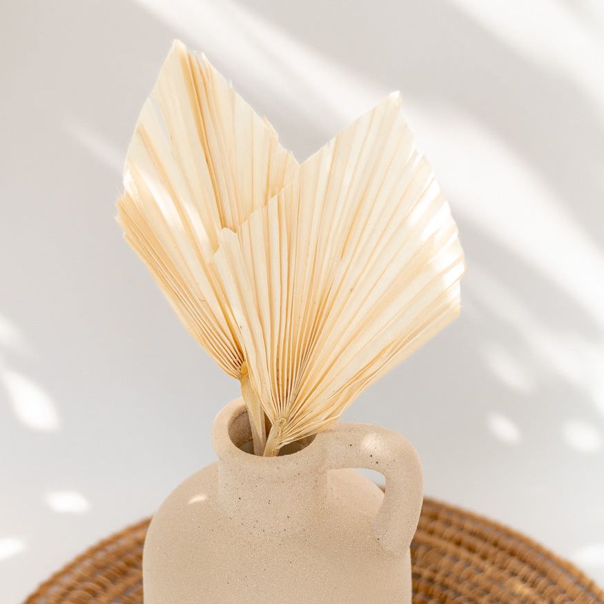 Getrocknetes Palmblatt gebleicht, Bund 10 Stiele - Trockenblumen -> Sorten von mahina