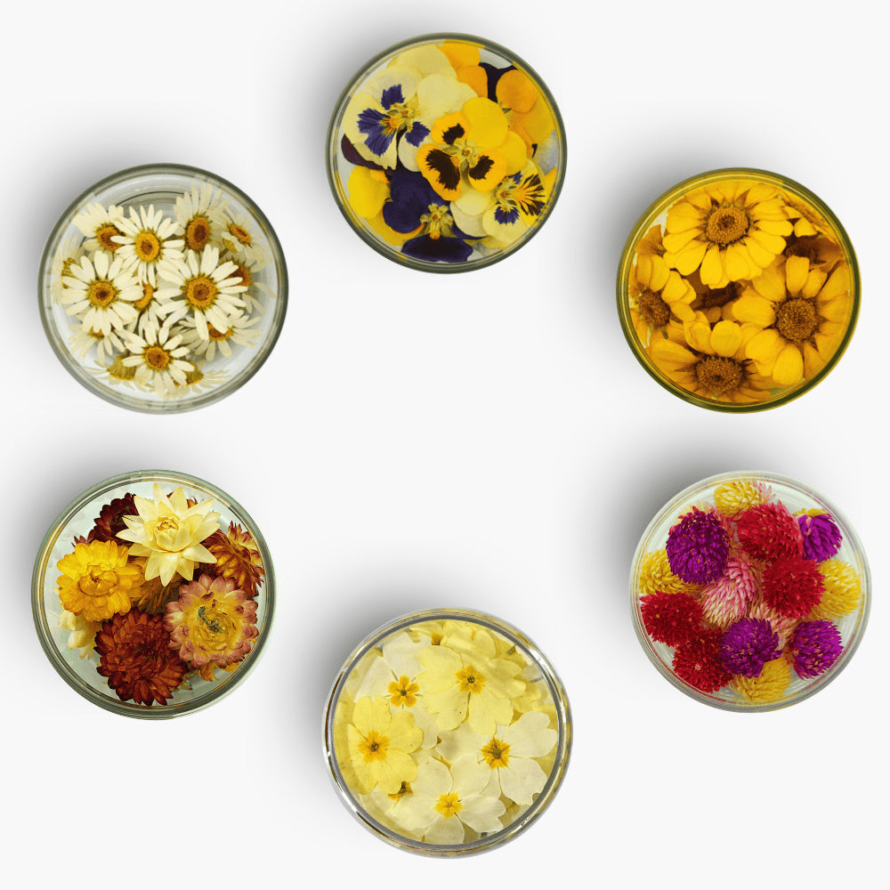 Rosie Rose "Special Blüten" 15 Stück - Essblüten von mahina