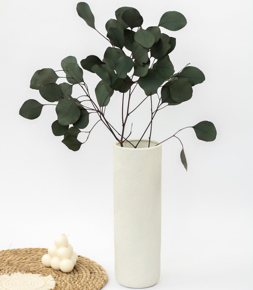 Fleur et feuillage stabilisé, séché. > Eucalyptus populus stabilisé vert.