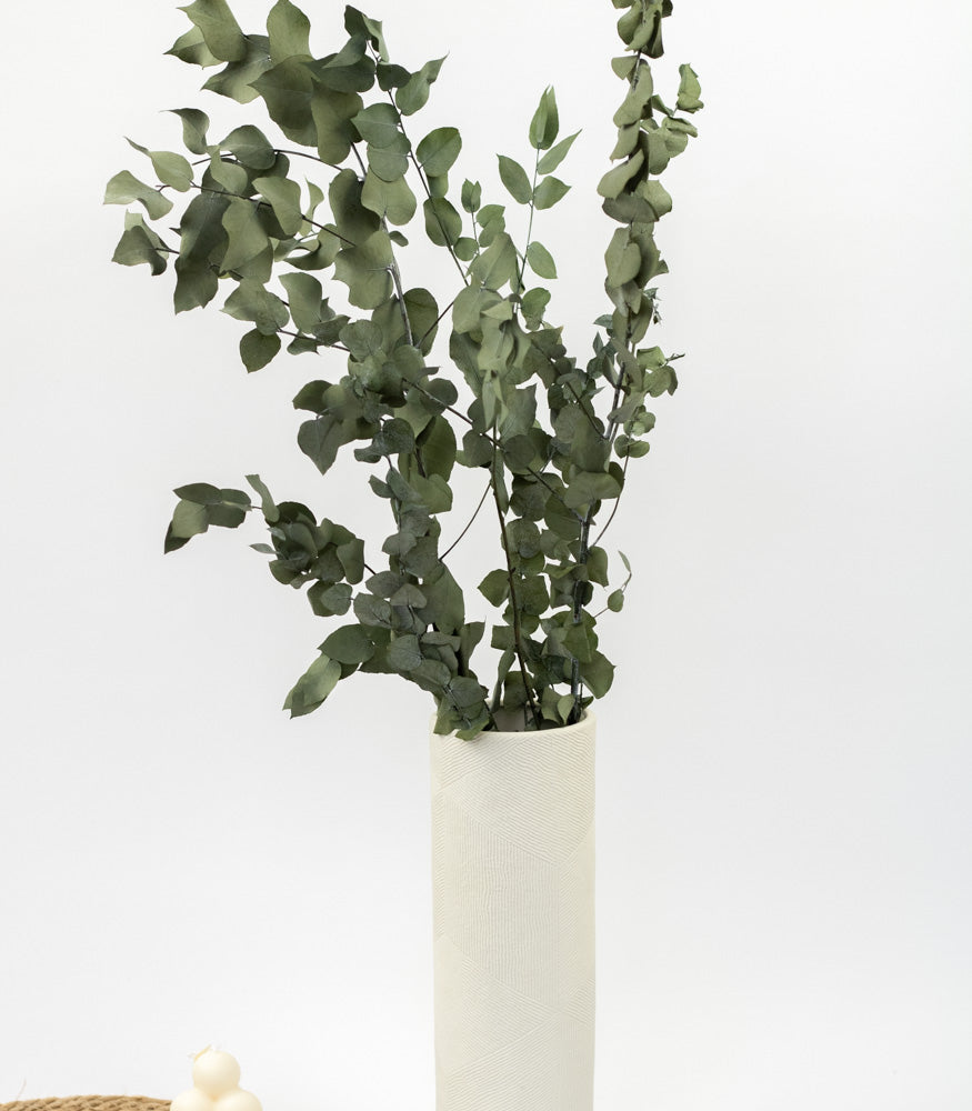 Eukalyptus "Stuartiana" getrocknet, Bund 150g - MAHINA